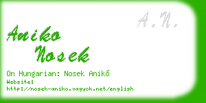 aniko nosek business card